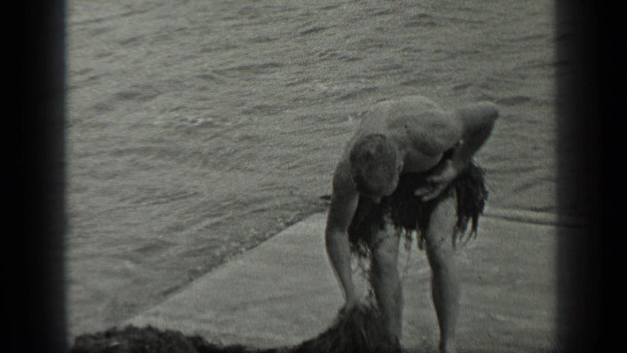 The man bends down beside the lake, holding or gathering seaweed for the improvised skirt in the 1939 Long Lake footage.