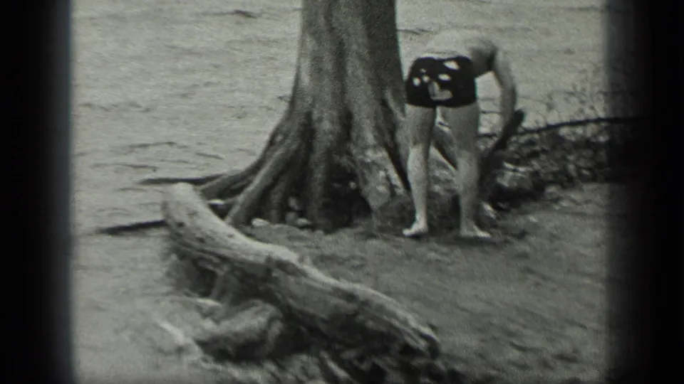 The man bends at the edge of Long Lake near a large rooted tree, with driftwood or exposed roots in the foreground.