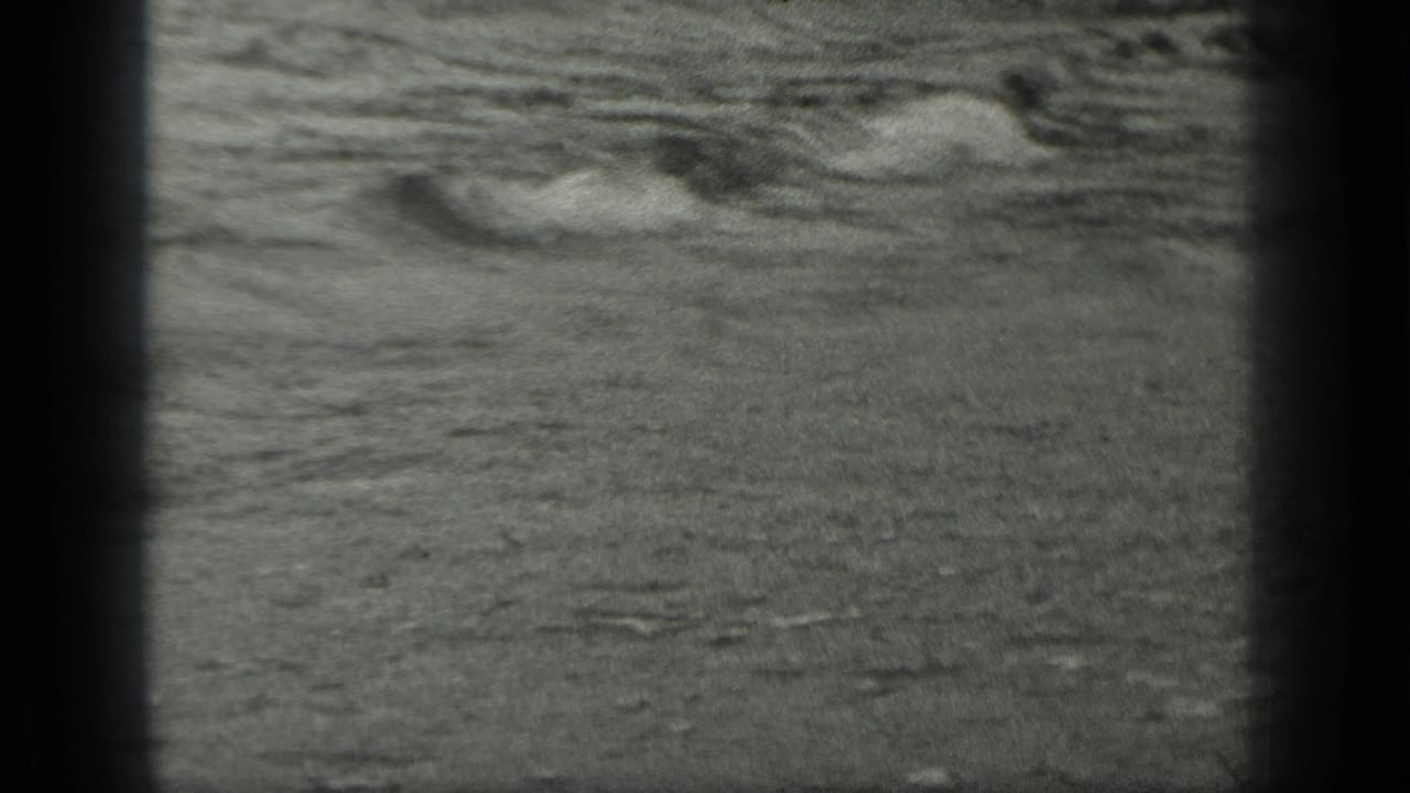 Foamy water and wet sand seen through dark vertical film borders.