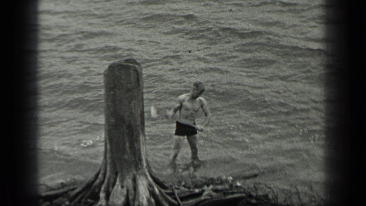 The man stands at the Long Lake shoreline with an axe lowered, near a weathered stump and moving water.