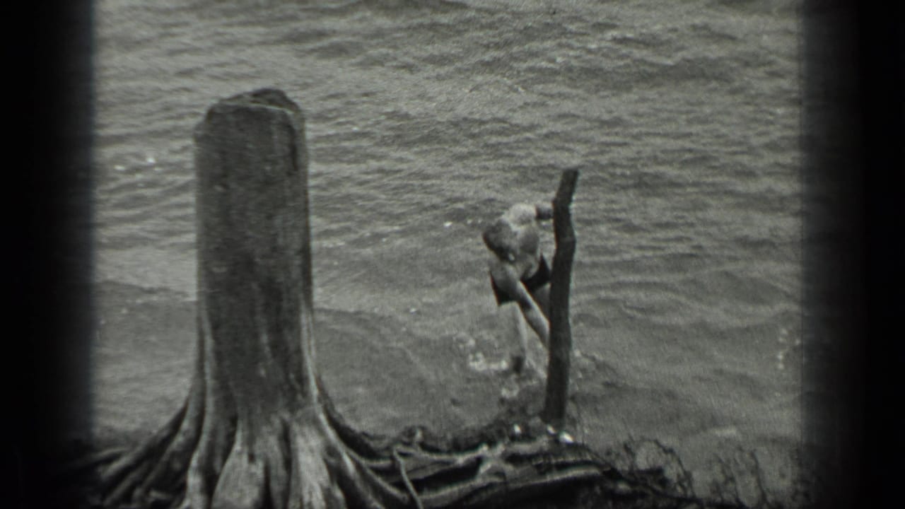 Man in swim trunks bends near a log beside a tree stump at the lake edge.