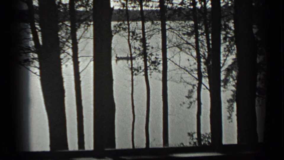 A final lakeside view shows dark tree trunks and branches silhouetted against the water at Long Lake, Canada.