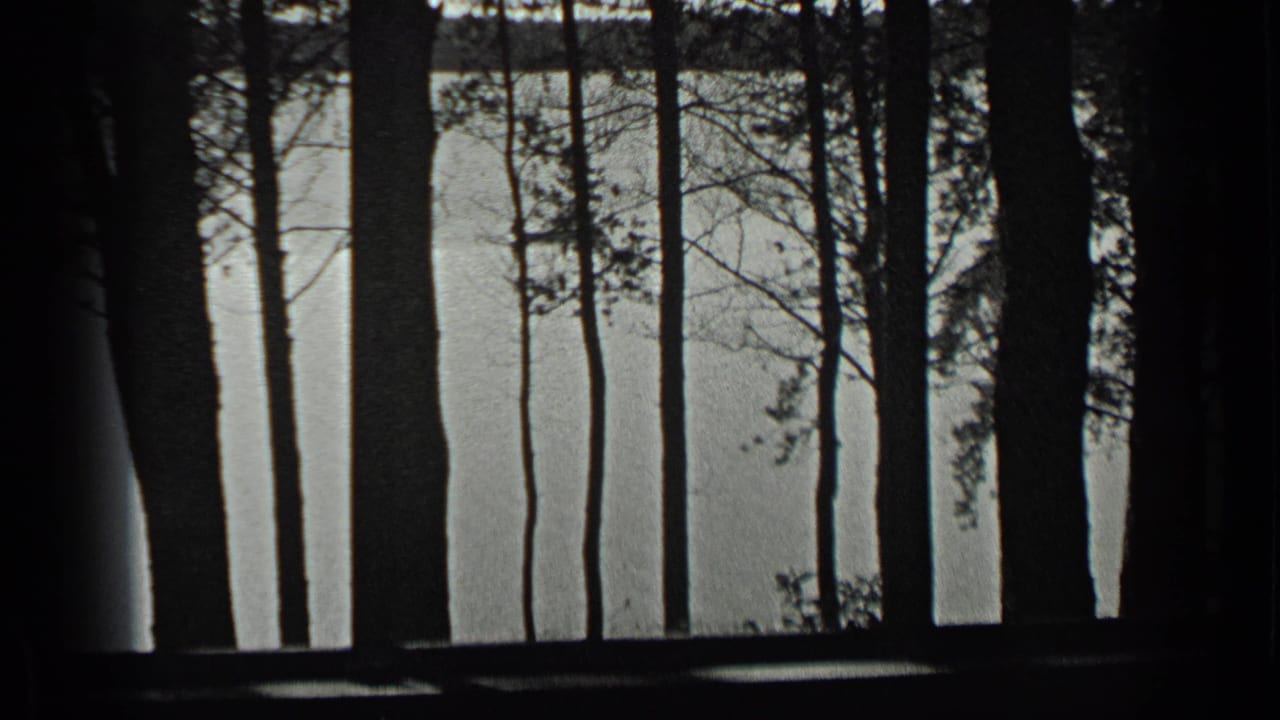 Tall shoreline trees frame a lake view with a small boat near the far water.