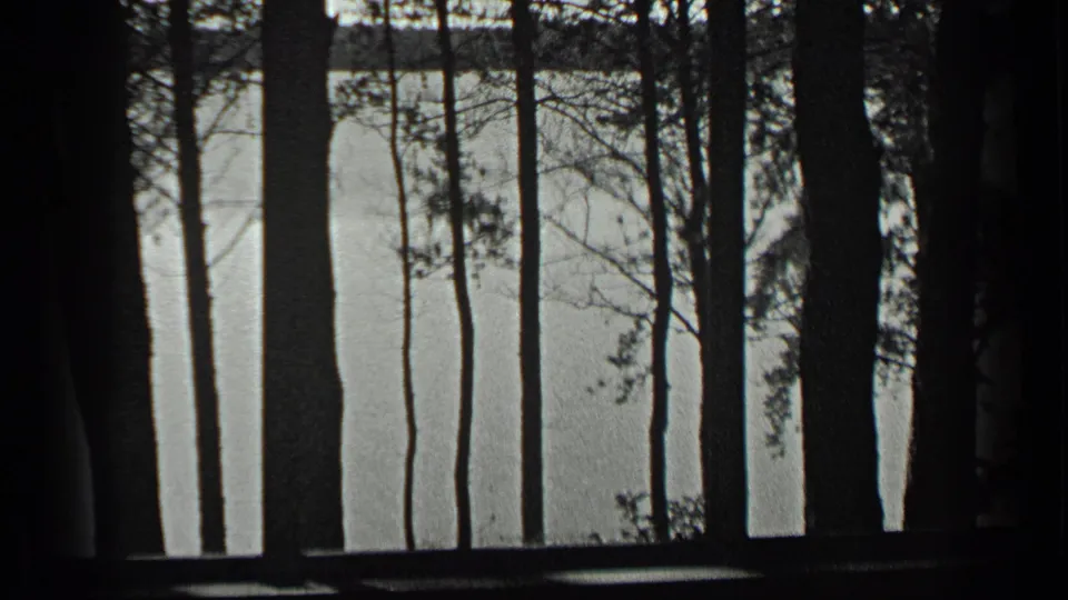 Long Lake, Canada appears beyond a screen of dark tree trunks in this 1939 8mm home-movie frame.