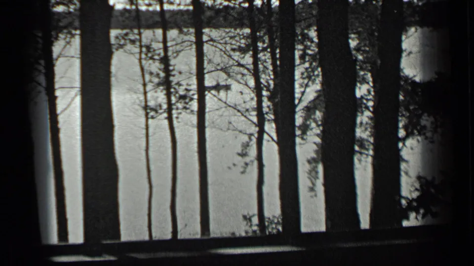 1939 Long Lake, Canada footage looking through dark tree trunks toward calm water and a small boat in the distance.