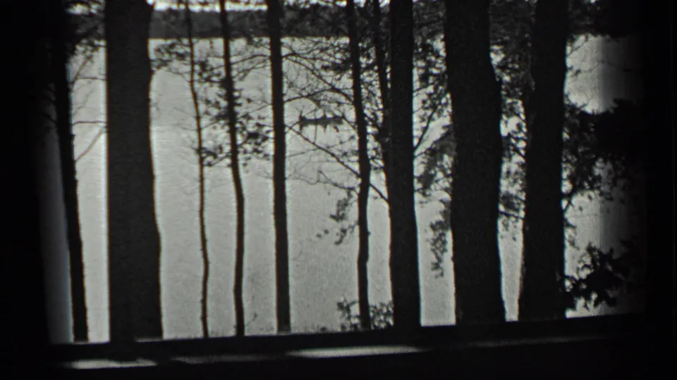 A sheltered 1939 Long Lake view shows vertical tree silhouettes against bright water with a faint boat near the horizon.
