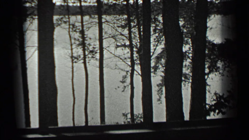Long Lake appears through a row of silhouetted trunks and sparse branches in this 1939 8mm home-movie frame.
