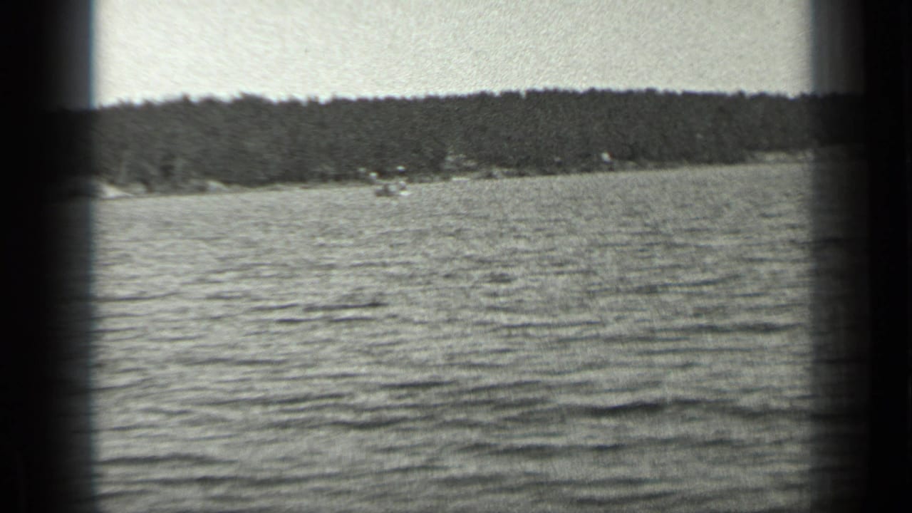 Wide view across rippled lake water toward a wooded shoreline.