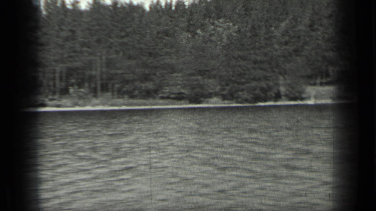 Long Lake shoreline in black-and-white 8mm, with water in front, dense evergreens, and a small dark object near the bank.