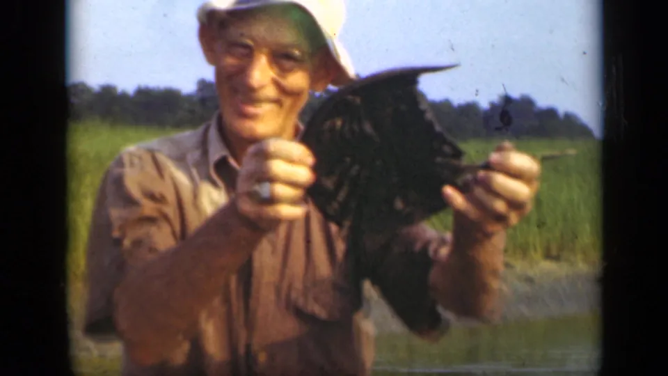 The fisherman smiles broadly while presenting the large dark fish close to the camera in 1948 Long Island 8mm footage.