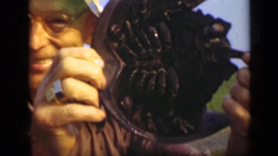 Close 8mm frame of a man holding a horseshoe crab up beside his face, with the shell and legs filling much of the view.