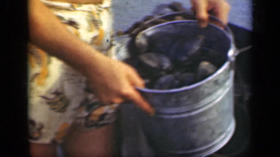 Close-up from the 1948 home movie showing a metal pail filled with dark shellfish as the man holds it near a boat.