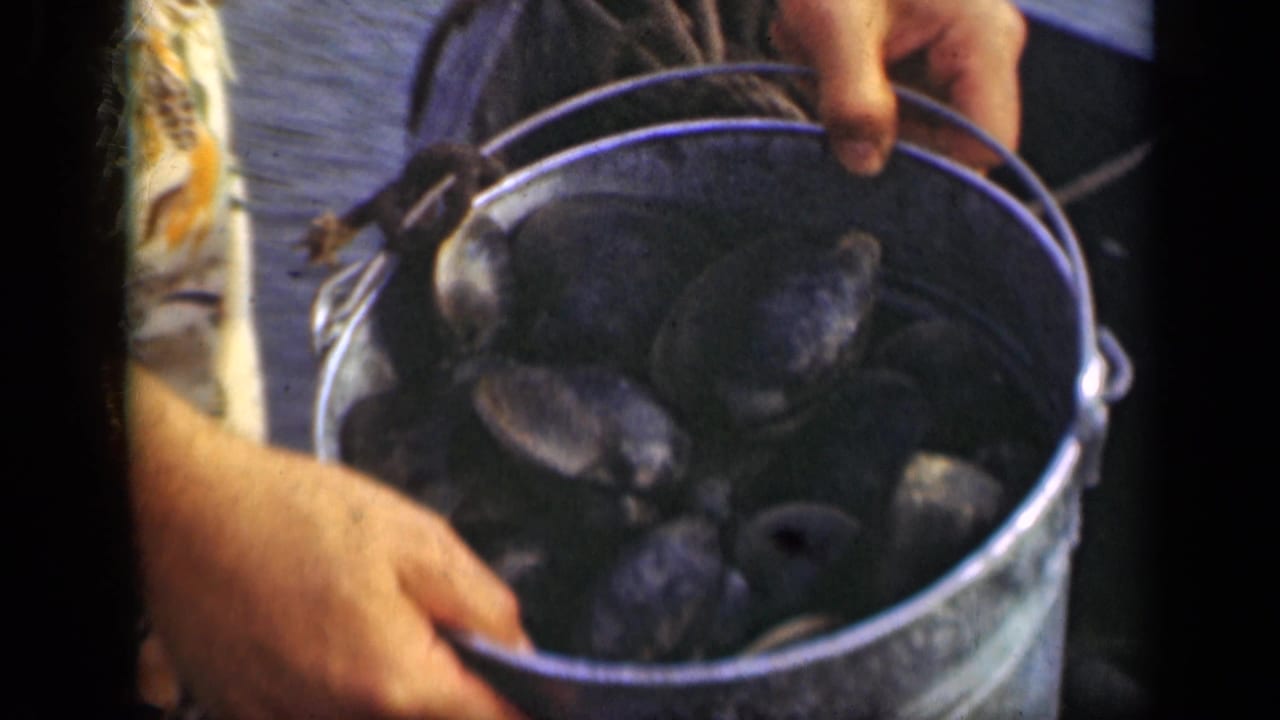 Hands hold a metal bucket filled with wet dark shells.