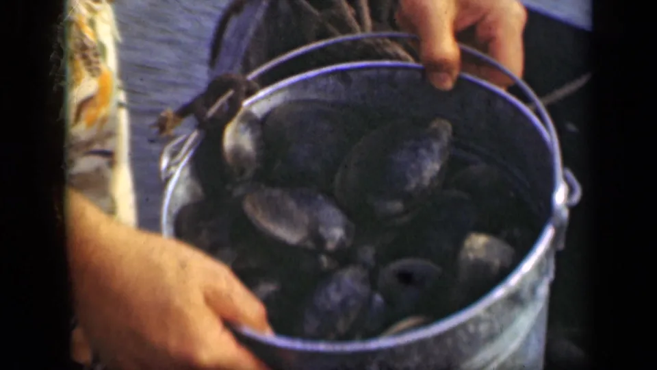 In 1948 Long Island home-movie footage, a person holds a metal pail containing wet oyster or clam-like shells near the camera.