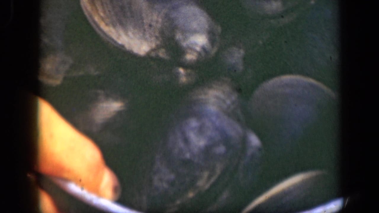 Close view of wet shells and a hand near the pail rim.