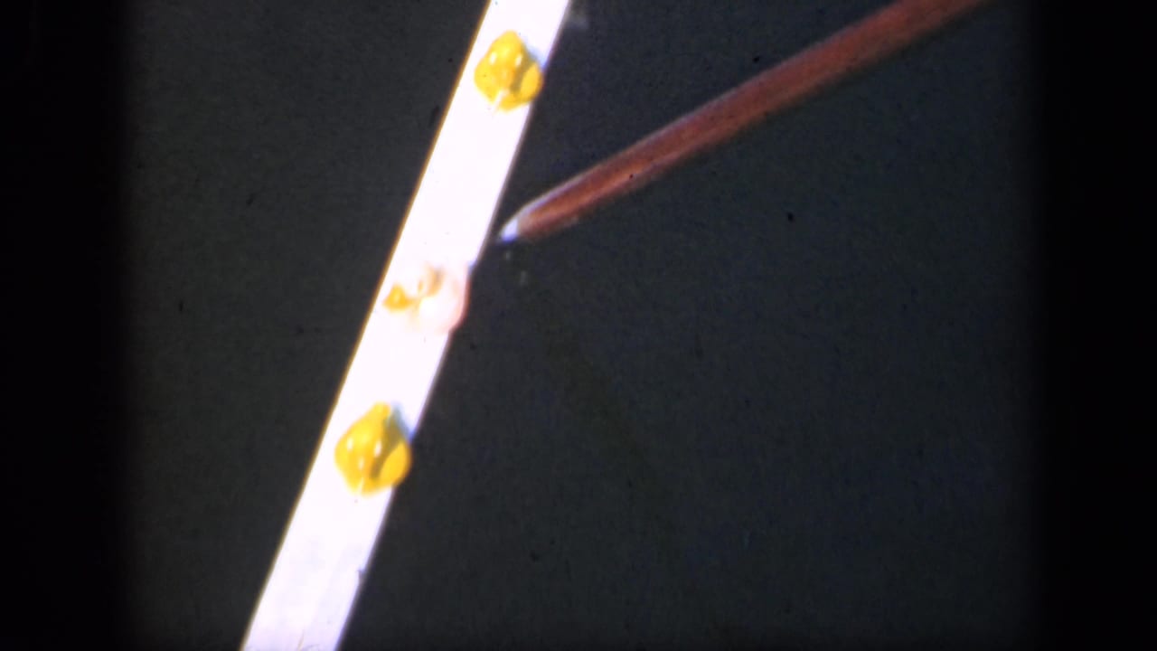 1948 Long Island 8mm frame with a brown pointer near yellow gum-like pieces on a bright strip.