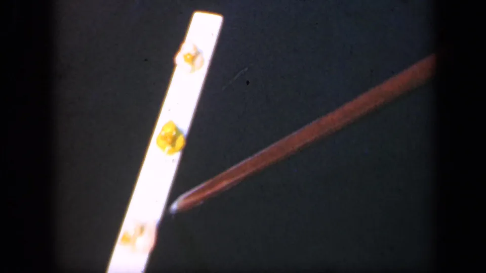 1948 Long Island 8mm close-up of a pointer indicating yellow gum-like material on a pale strip.