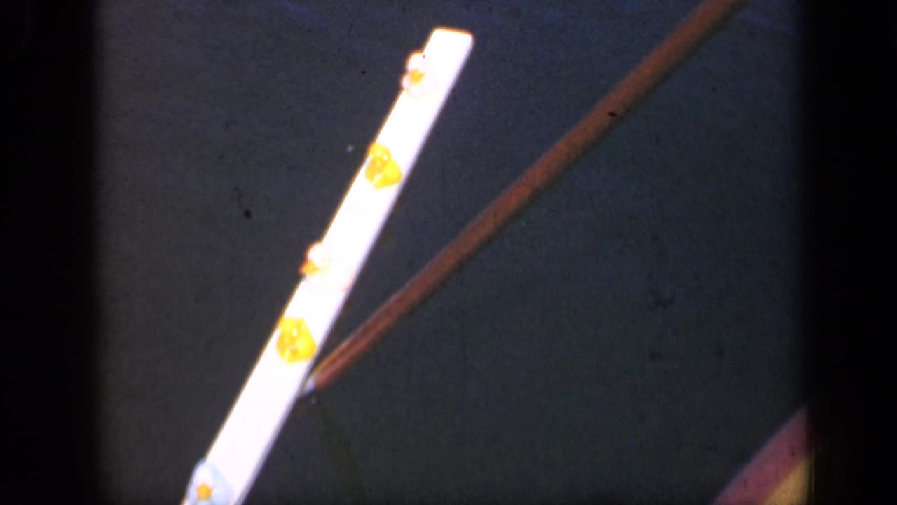 White stick-like object with yellow dots crossed by a brown diagonal rod against a dark background.