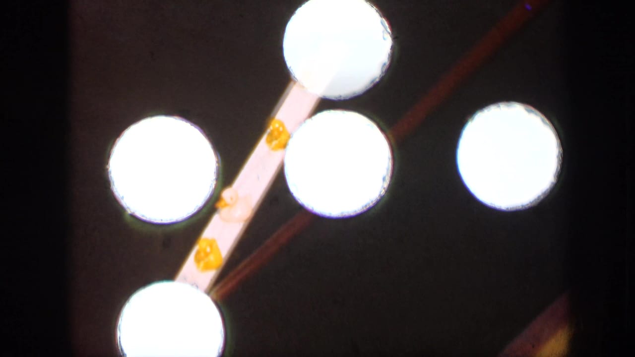 Bright circular light flares beside a marked wooden strip against a dark background.