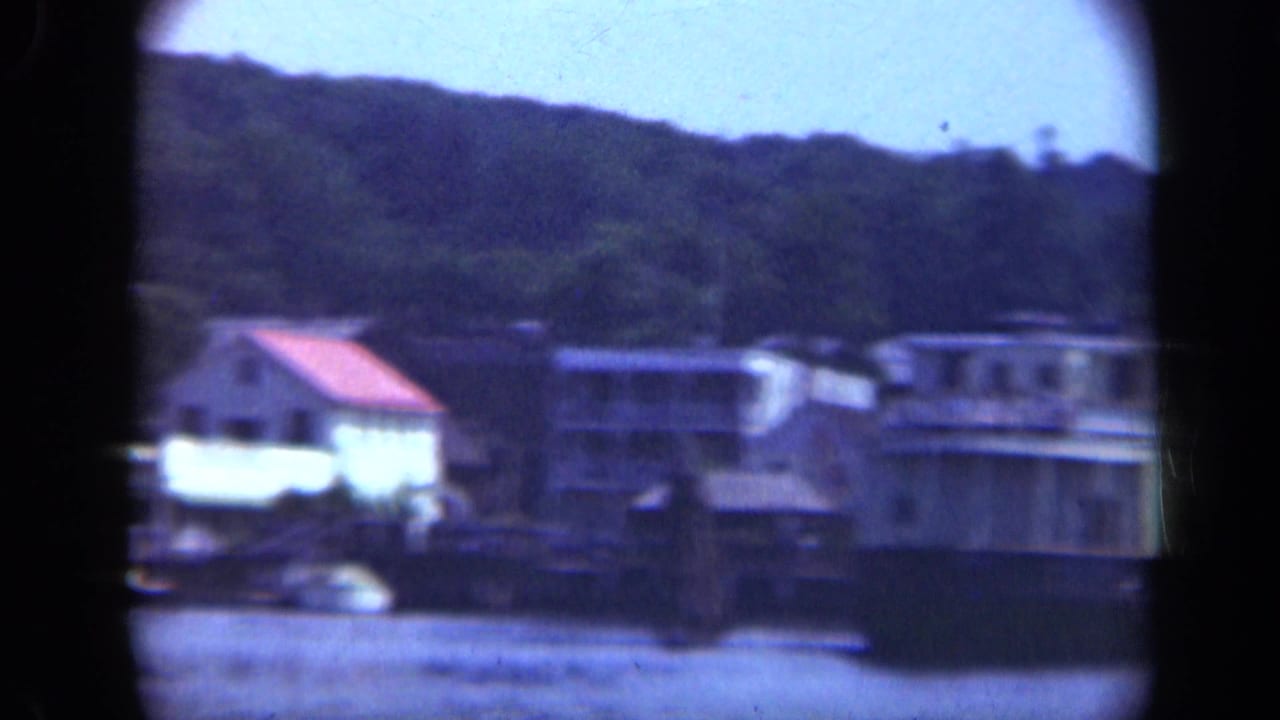 Waterfront buildings and docks below a wooded hillside across the water.