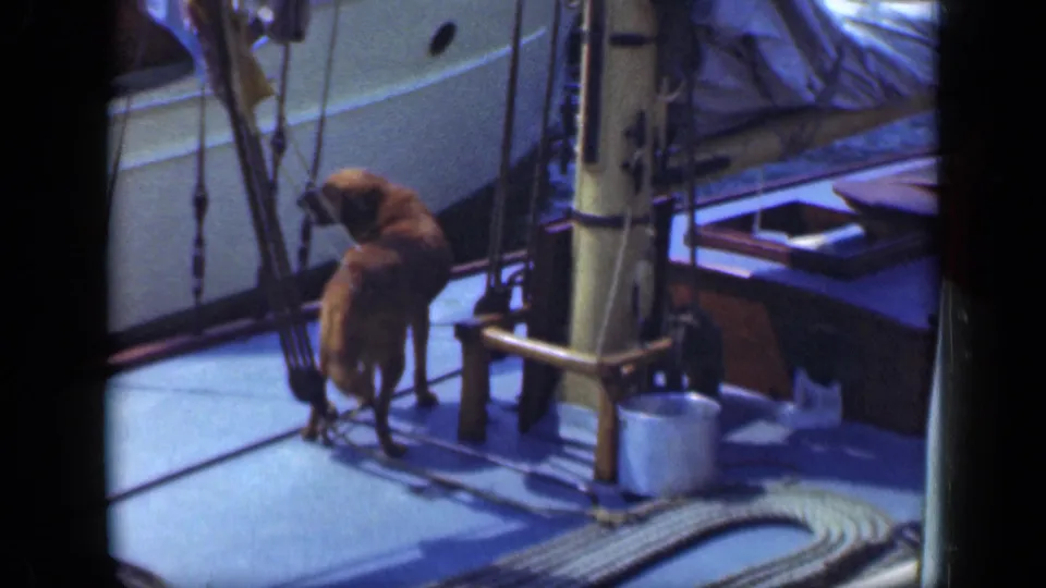 A brown dog stands on the deck of a 1948 Long Island sailboat scene, surrounded by rigging, coiled rope, and nautical fittings.