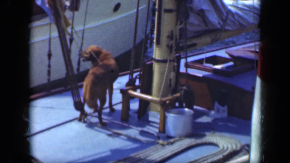 The home-movie frame shows a brown dog on a Long Island sailboat deck, with rigging, coiled rope, a bucket, and nearby boat surfaces visible.