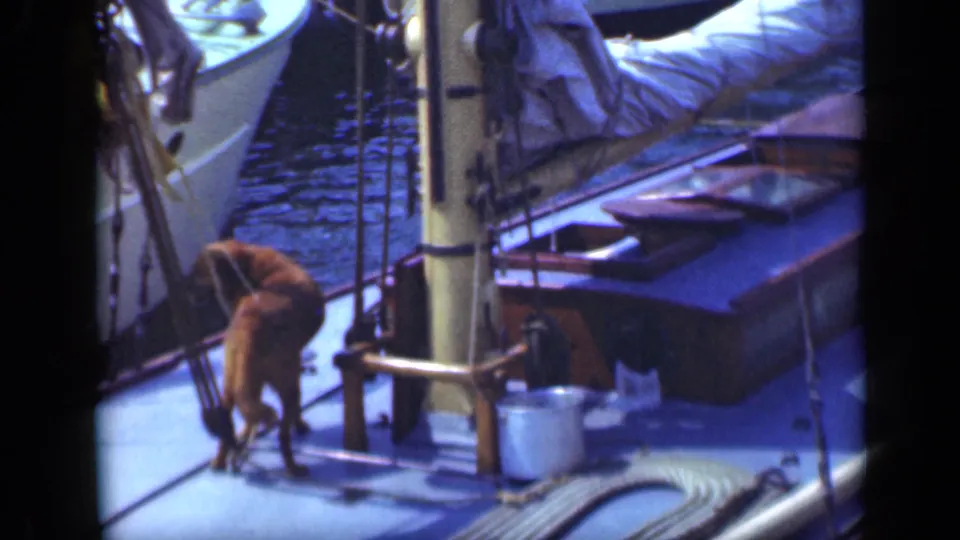 1948 Long Island 8mm frame with a brown dog turning on a sailboat deck near mast rigging, a white bucket, hatch, and marina water.