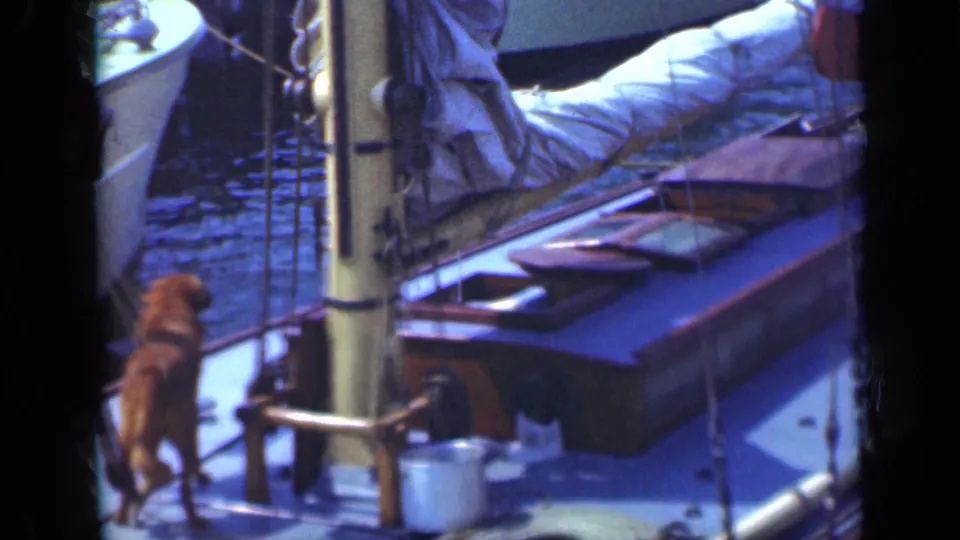 1948 Long Island 8mm frame showing the dog beside sailboat rigging and deck gear, with a covered sail and water in the background.