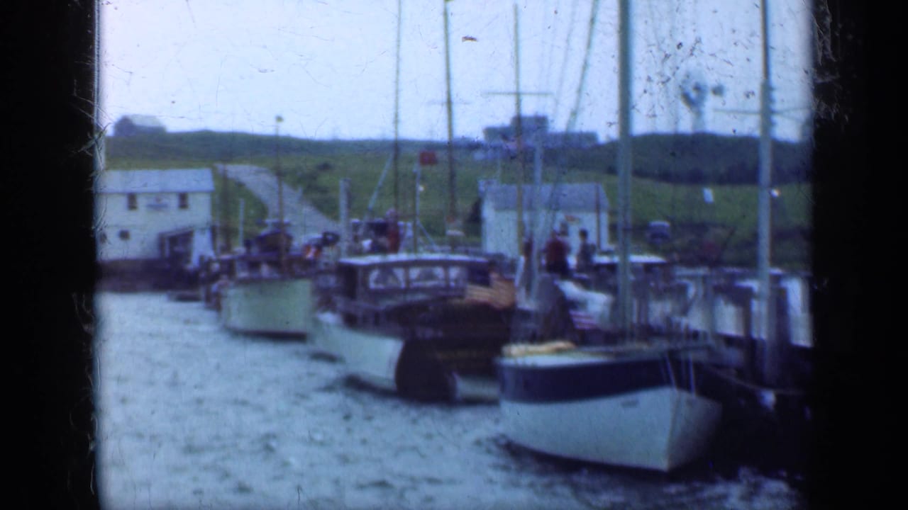 Small boats docked beside a wooden pier on calm water with low shoreline buildings behind.