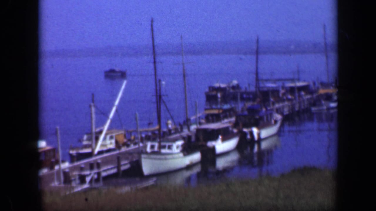 White boats moored beside a wooden pier on calm water with tall masts and shoreline grass.
