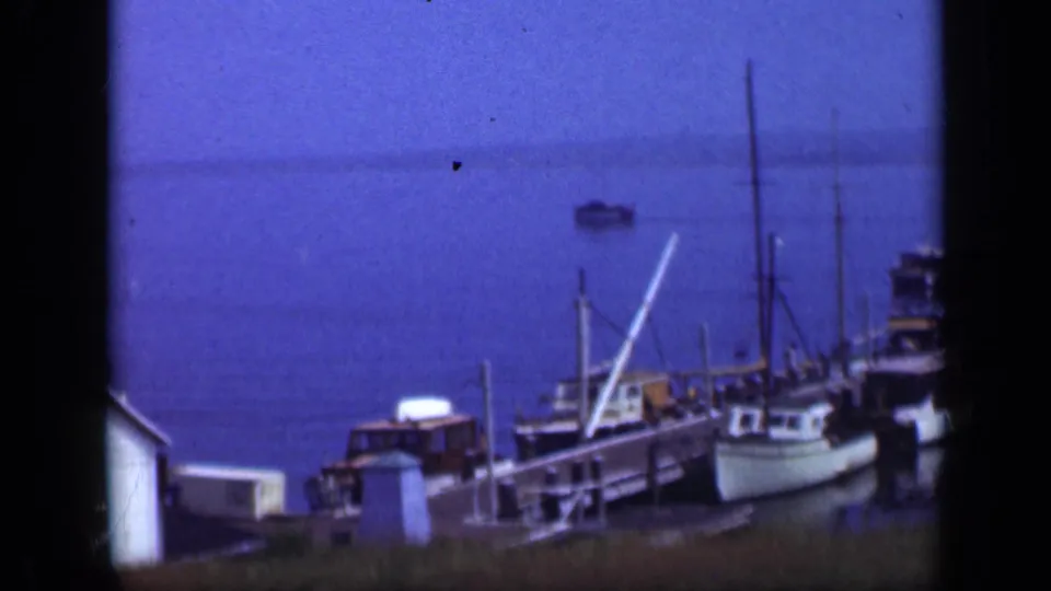 1948 Long Island harbor view with docked boats, a wooden pier, grassy foreground, and a small white building at the edge.