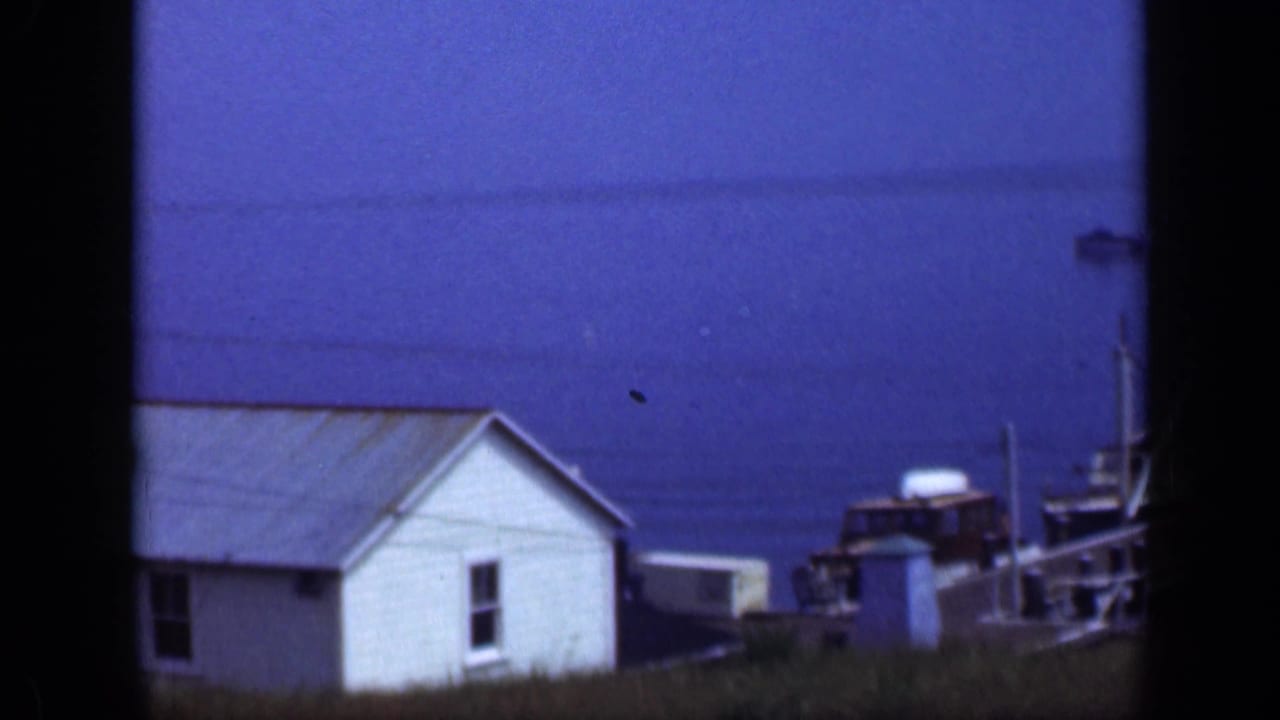 White coastal house with metal roof beside blue water and utility lines.