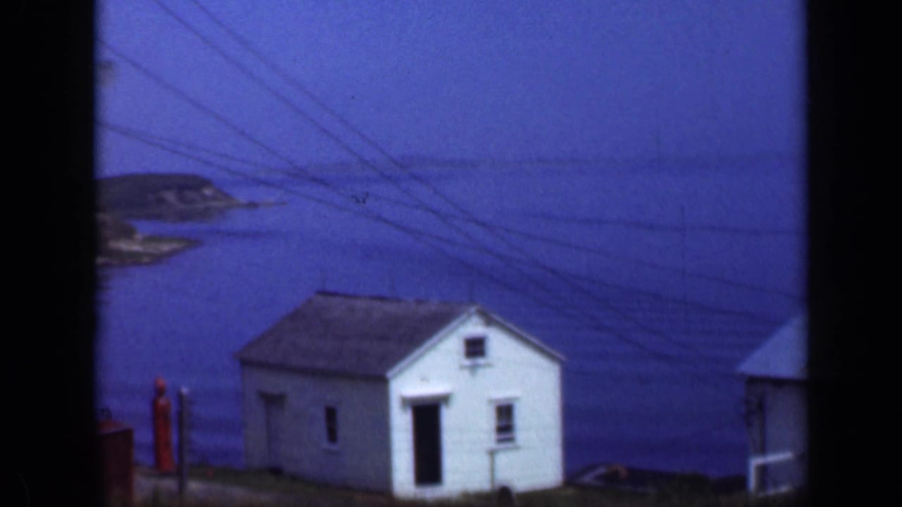 White house by calm inlet with overhead wires and distant shoreline.