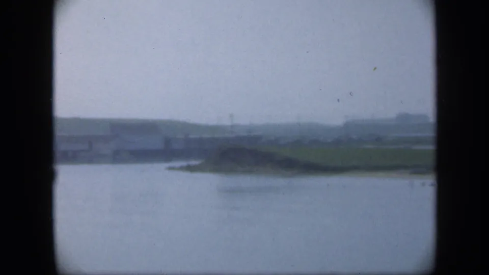 Soft 8mm view from 1948 Long Island showing open water, a curving grassy shoreline, scattered poles, and low distant structures.
