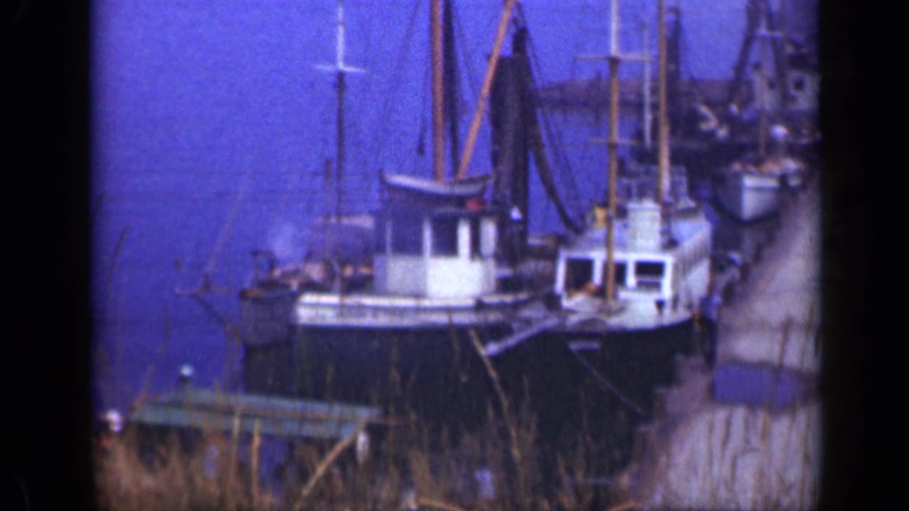 1948 Long Island harbor view with small docked boats, white cabins, wooden masts, pier edge, and grasses in the foreground.