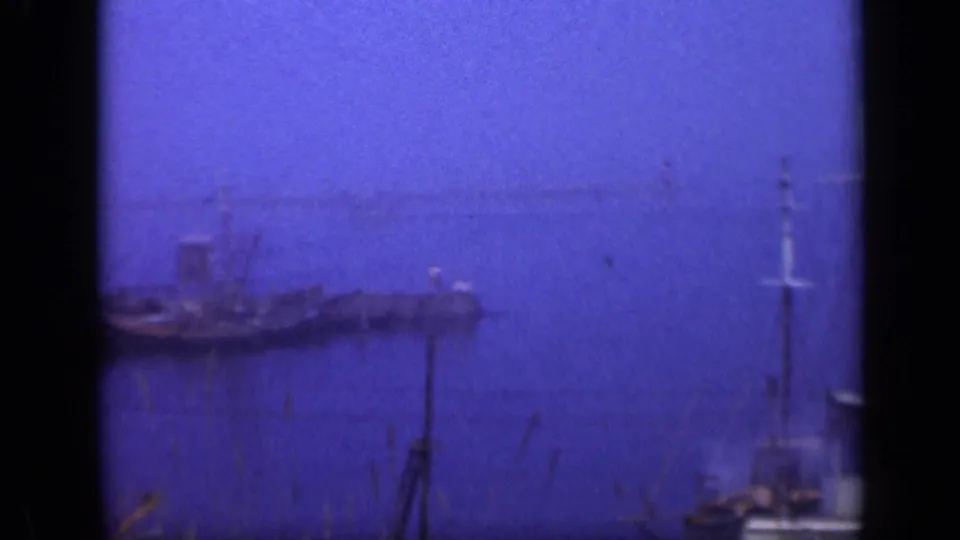 Soft 8mm view of a Long Island harbor with distant pier structures, moored boats, calm water, and a hazy shoreline.