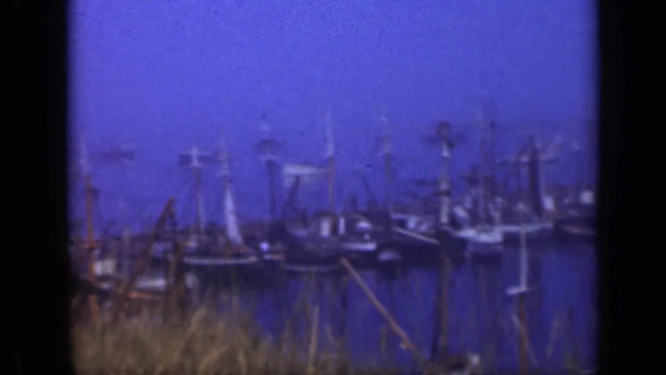 Soft 8mm view of moored sailboats at a 1948 Long Island marina, with foreground grass, dark water, and clustered masts.
