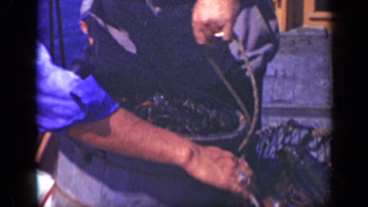 Fisherman leaning over a wooden deck beside a metal tub and dark catch.