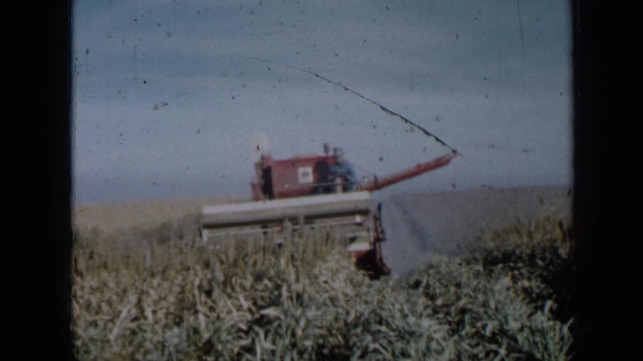 1958 Minnesota 8mm frame showing a red combine harvester cutting through corn with workers visible on the machine.