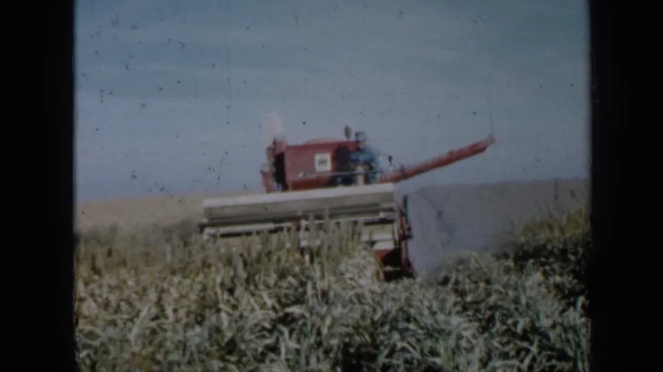 A red combine works through a Minnesota cornfield in 1958, with small figures visible near the operator area.