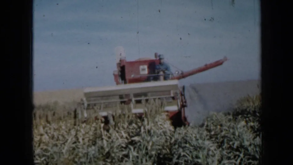 1958 home-movie frame of a red combine in a cornfield, with workers riding or standing on the machine.