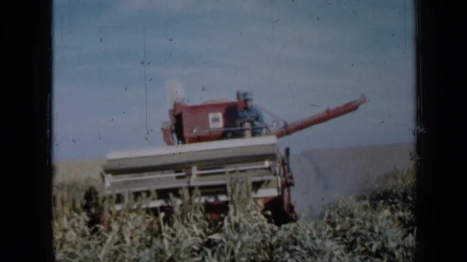 A red combine fills the frame while harvesting corn in Minnesota, with distant workers visible and dark 8mm borders around the shot.