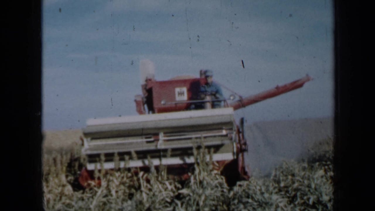Red combine harvester moves through a crop field with an operator seated above the header.