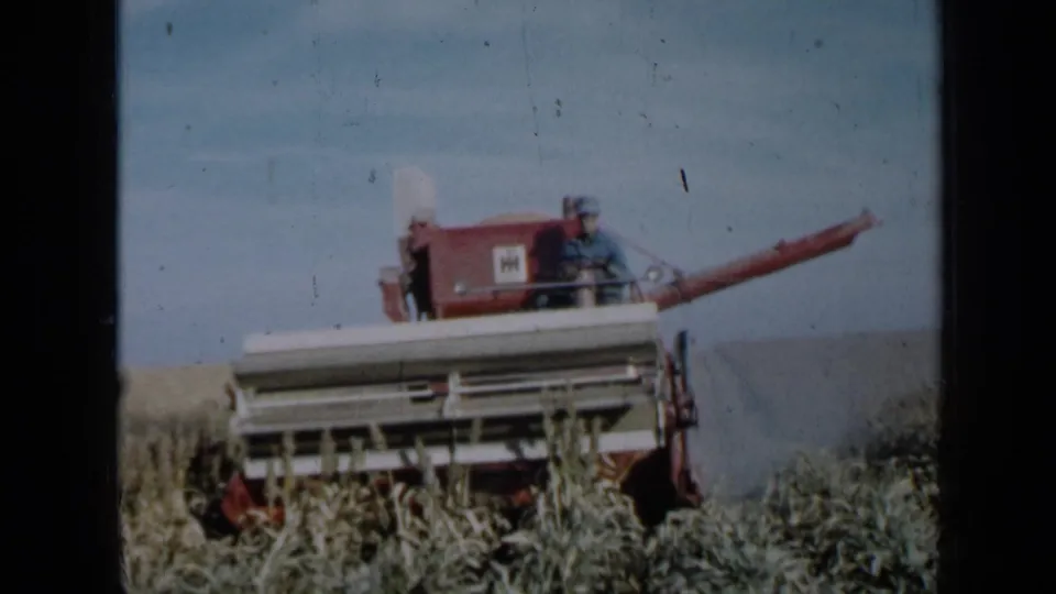 1958 Minnesota farm footage showing a red combine harvester working through crops under a blue sky.