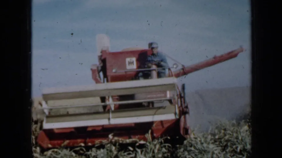 Red combine in a Minnesota field, with operator visible and unloading auger extended during harvest.