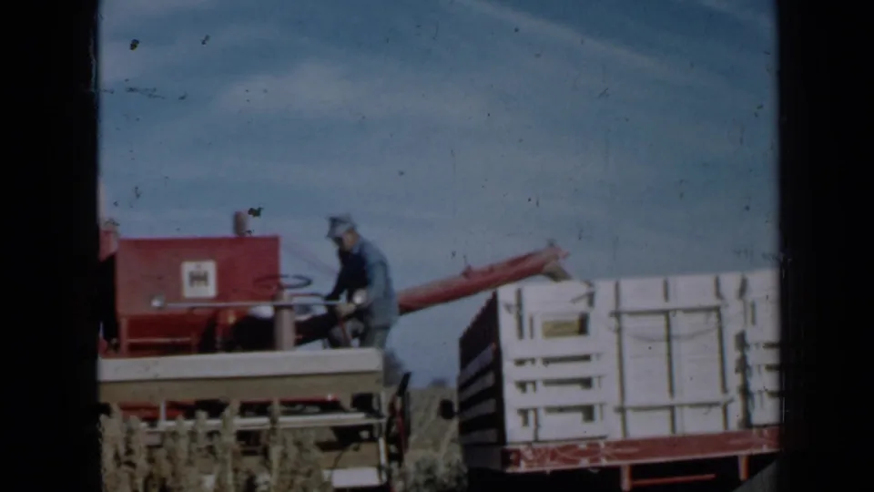 Minnesota farm harvest footage showing the combine operator beside controls near a white grain trailer.
