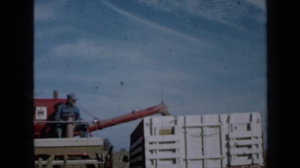 Late in the clip, the combine auger points toward the white wooden grain box as the farmer continues operating the machine in the field.
