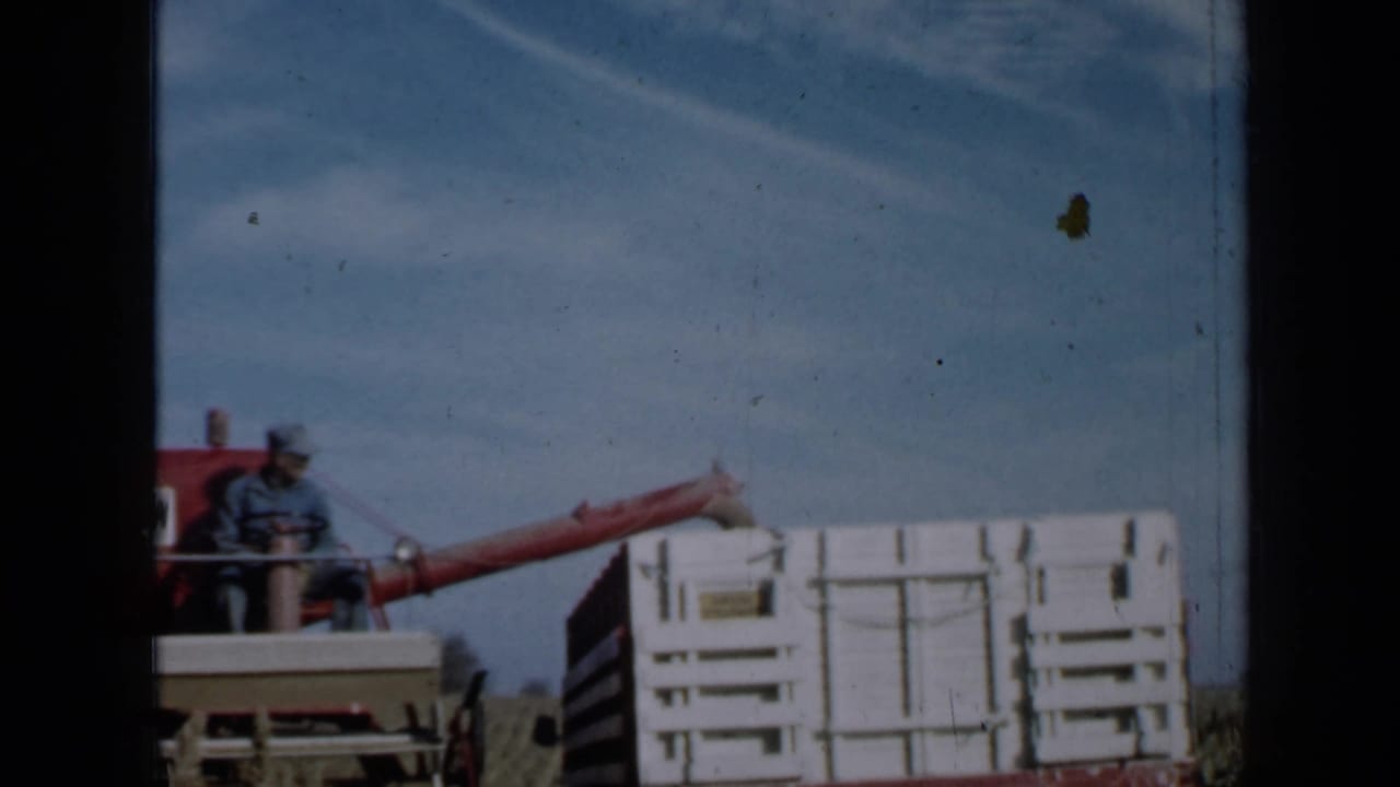 Farmer seated on a red harvester beside a white grain trailer under a blue sky.