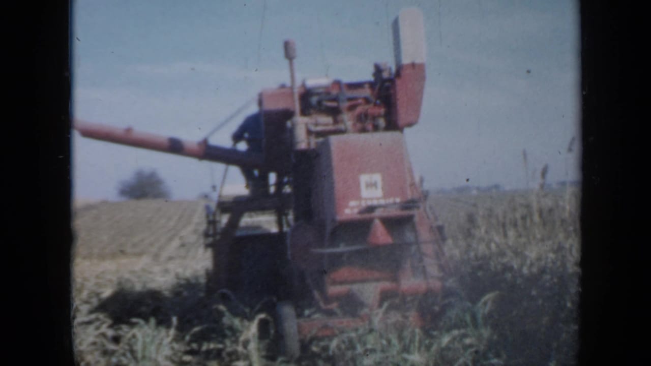 1958 Minnesota 8mm frame with a red combine seen from behind as it advances through corn, leaving cut rows visible nearby.