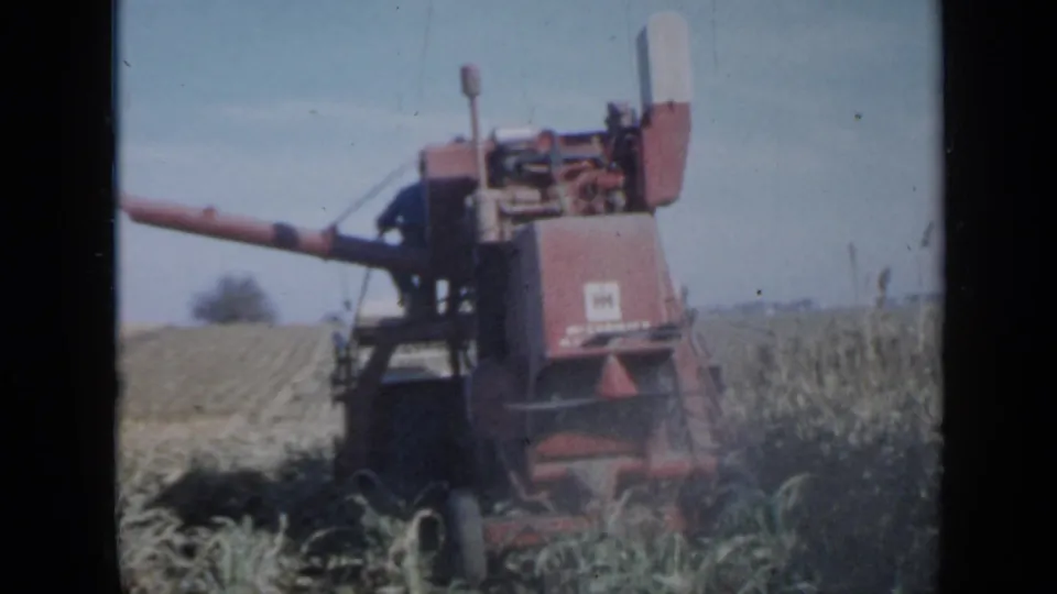 1958 Minnesota 8mm frame with a red combine seen from behind as it advances through corn, leaving cut rows visible nearby.